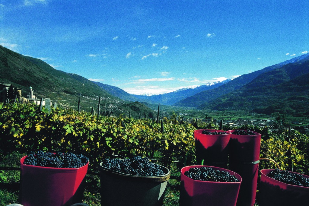 Il vino valtellinese protagonista di due serate nel Lecchese