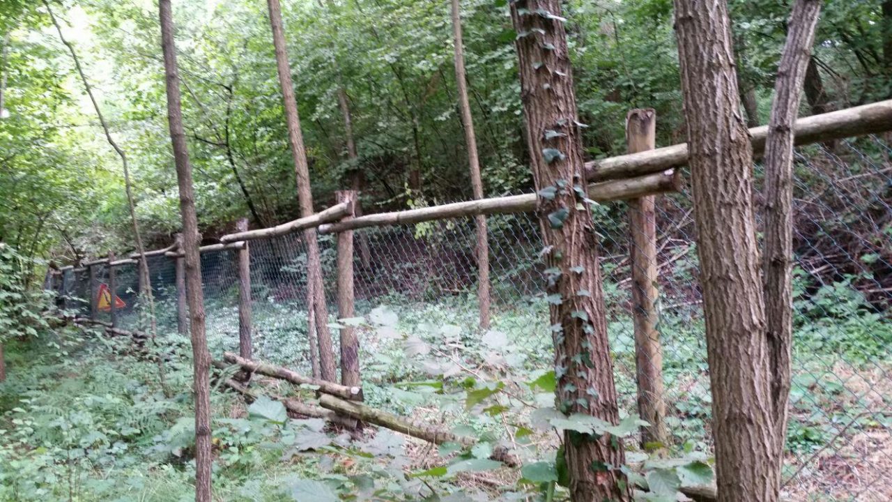 Il Gruppo Valle Nava denuncia: “Troppi ostacoli sul sentiero”