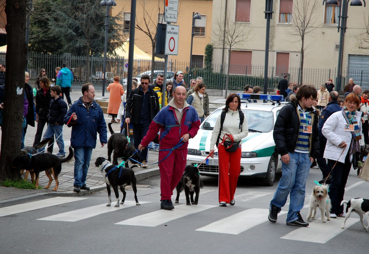 Tutti a spasso con gli amici a 4 zampe con la Zampettata 2017
