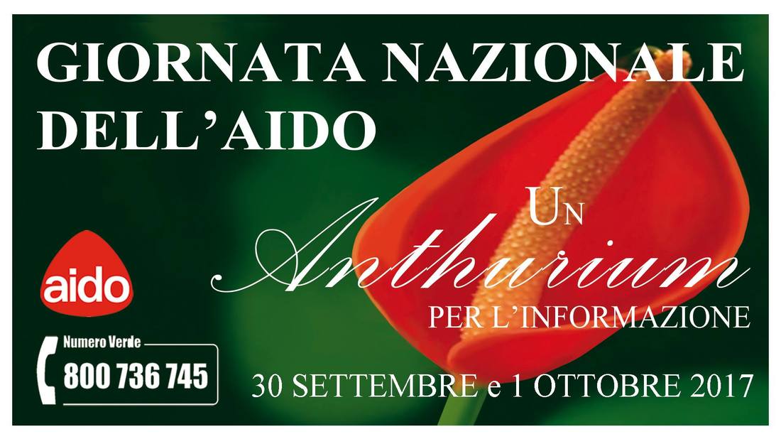 Giornata nazionale Aido, un Anthurium in piazza