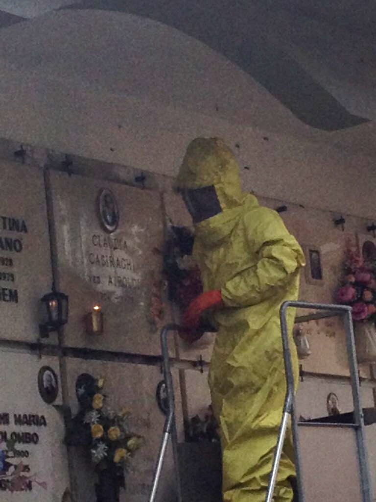 Pompieri al lavoro per rimuovere un nido di calabroni al cimitero