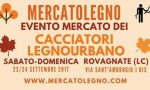 A Rovagnate la prima edizione del Mercato del Legno