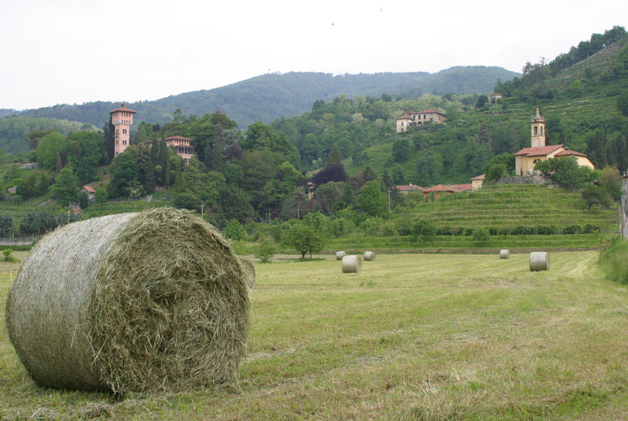 Festa di Mondonico con le associazioni