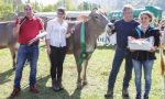 Mostra agricola in Valle San Martino