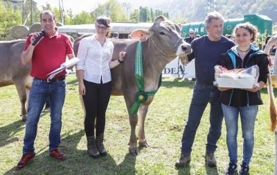 Mostra agricola in Valle San Martino