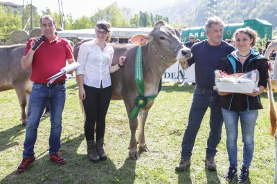 Mostra agricola in Valle San Martino