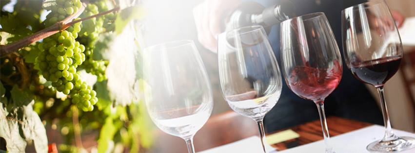 Onav Lecco: nuova stagione alla scoperta del vino