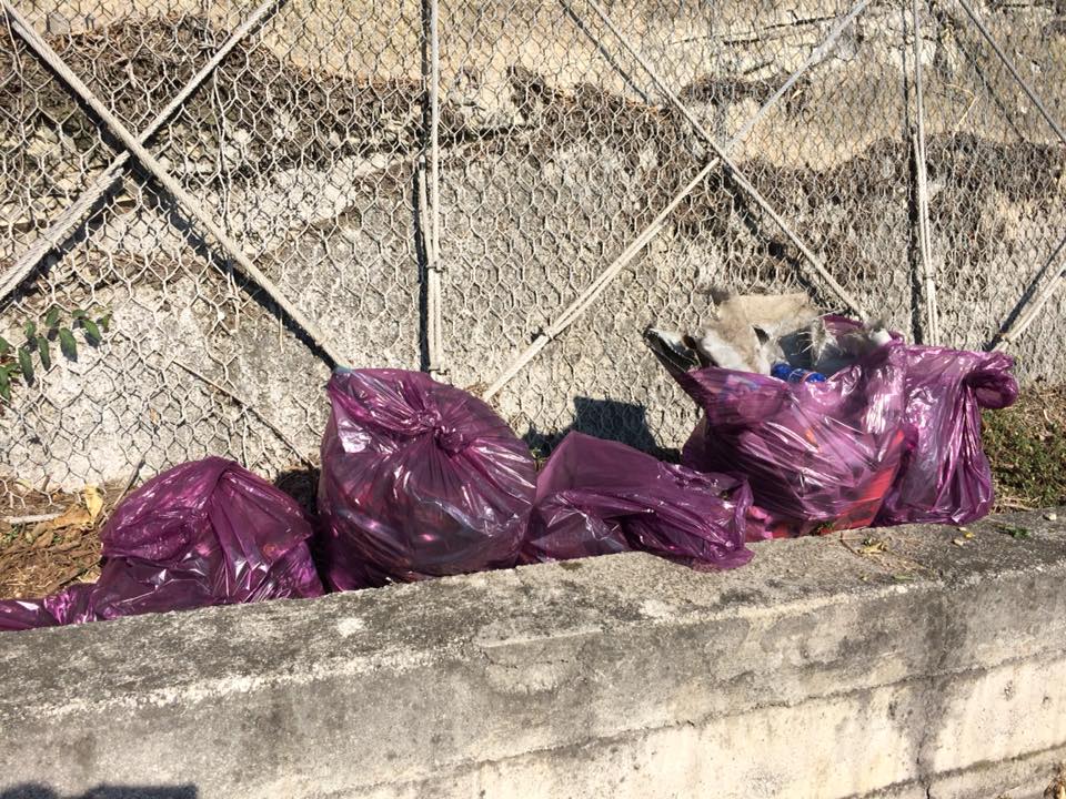 La Protezione Civile civatese ripulisce la Provinciale e la ss36