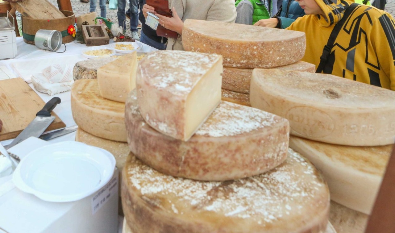 Valsassina, premiati i migliori formaggi