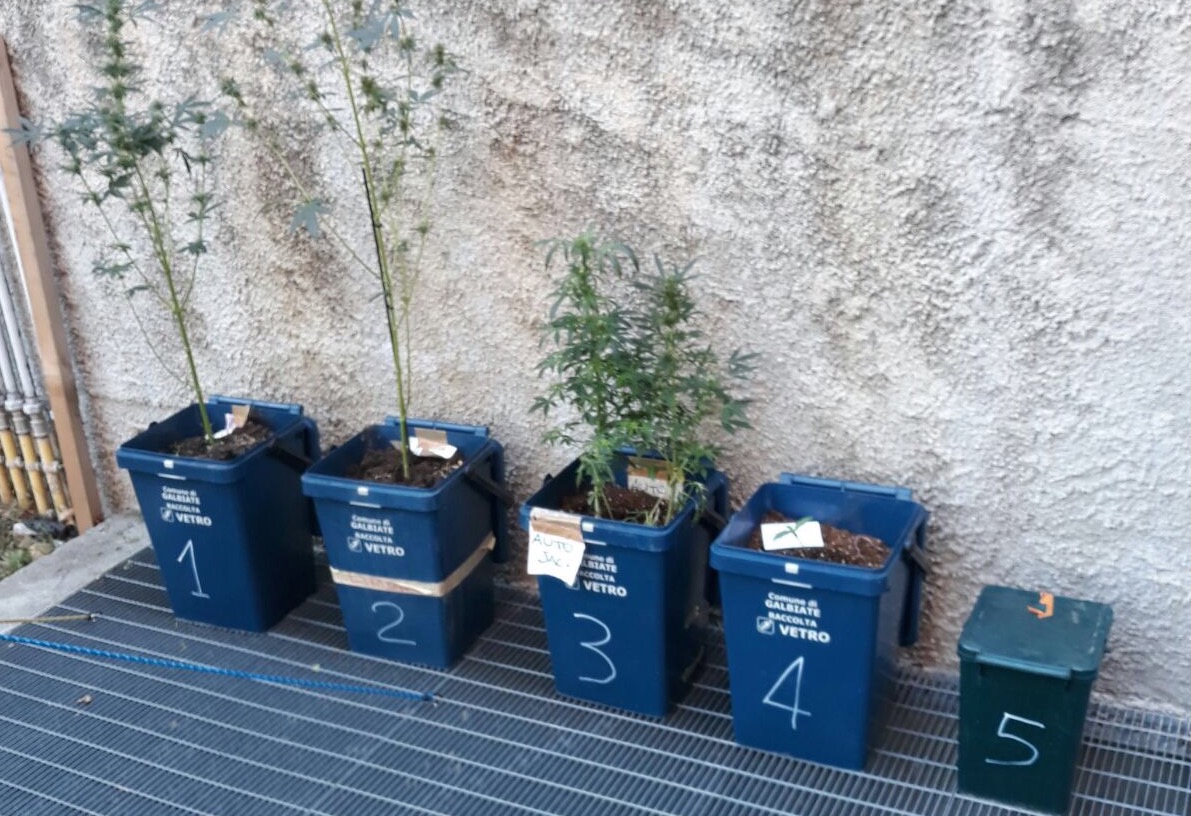 Polizia Locale soccorre un 43enne e trova sei piante di marijuana