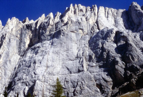 Antonella Fornari festeggia con gli Alpini