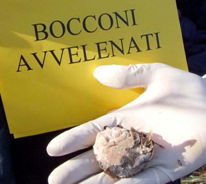 Cani avvelenati con la stricnina