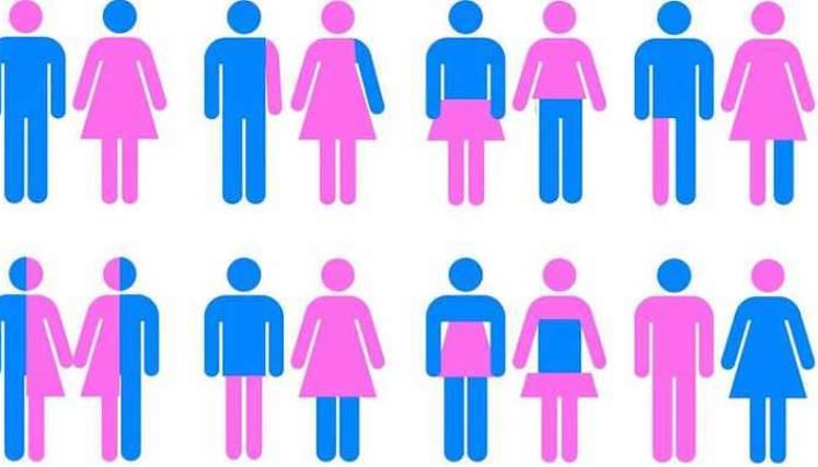 Buona affluenza di pubblico alla serata sul gender