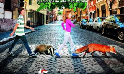 Con il WWF alla scoperta di “Natura in città” a Lecco