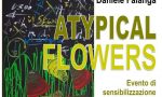 A Olginate sale il sipario sulla mostra “Atypical Flowers”.