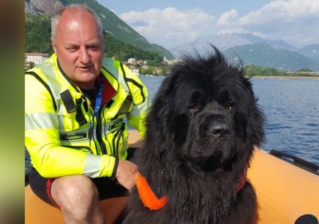Tuffo a quattro zampe