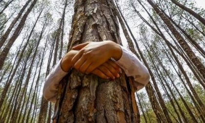 Tante iniziative per la settimana dell'ambiente