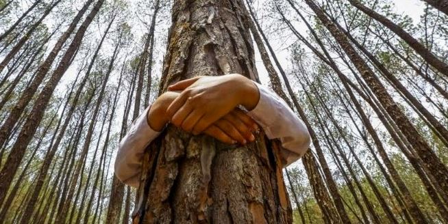 Tante iniziative per la settimana dell’ambiente