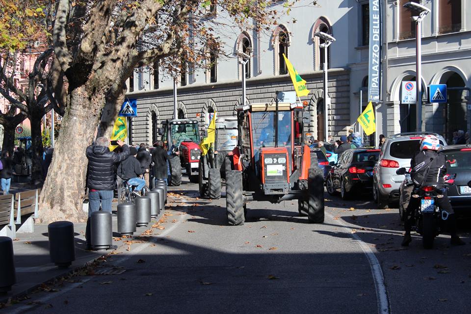 Sfilata di trattori per il Ringraziamento FOTO
