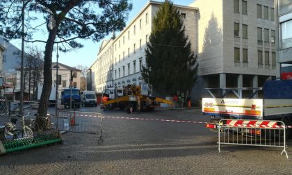 Lavori in piazza, arriva l'albero di Natale gigantesco