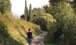 Bocconi avvelenati, migliora anche il cane più grave