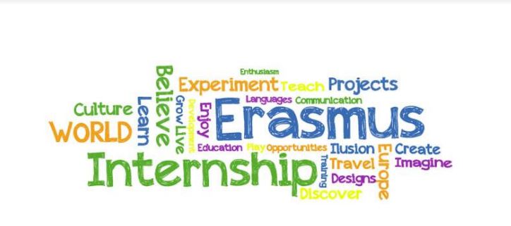 Progetto Erasmus, gli ex studenti si raccontano