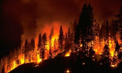2017 anno terribile per gli incendi