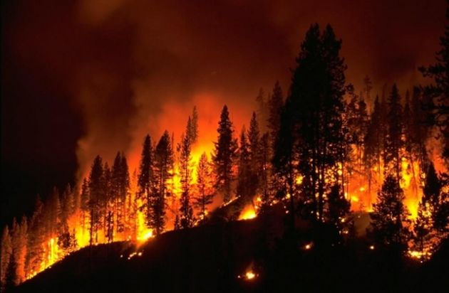 2017 anno terribile per gli incendi