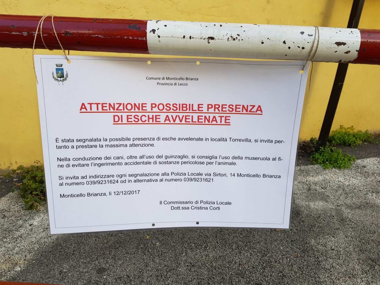 Cani avvelenati allarme in tutta la frazione di Torrevilla