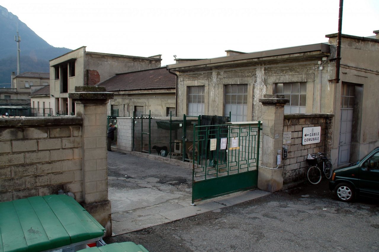 Addio definitivo al canile di Lecco