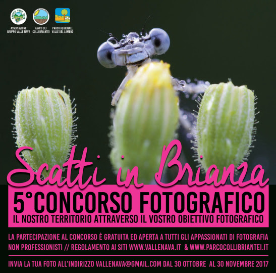 Scatti in Brianza il 15 dicembre la premiazione dei vincitori