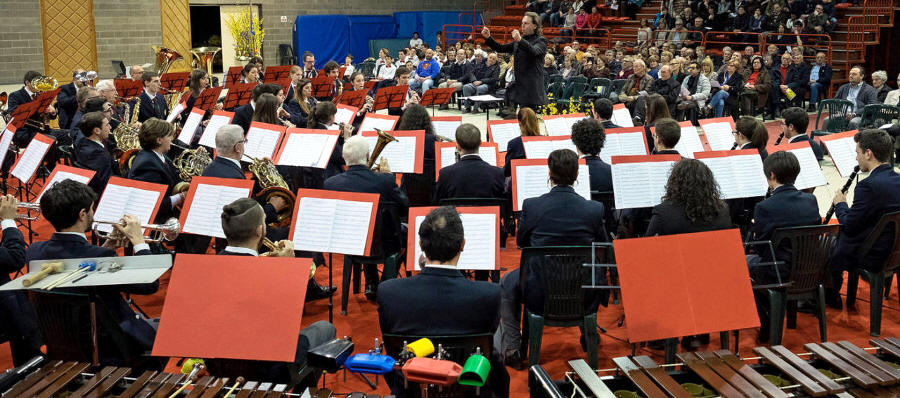 Telethon concerto all’Auditorium di Casatenovo
