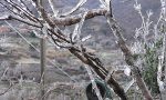 Rischio neve dal mezzogiorno di domani