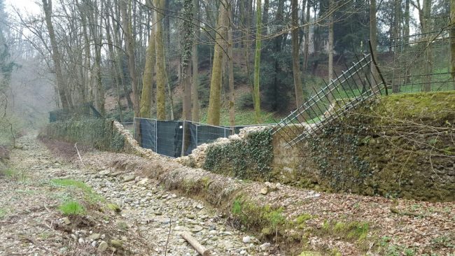 Giardiniere di Berlusconi cade da un albero a Villa Gernetto: gravissimo
