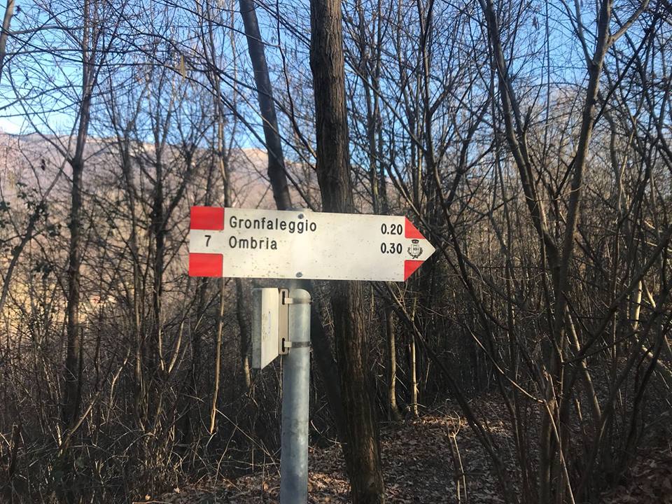 Bocconi avvelenati nei boschi della Val San Martino