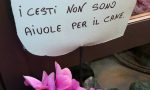 Vasi di fiori scambiati per pisciatoi per cani, la protesta di una fioraia