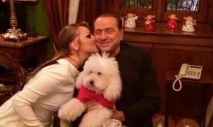 Berlusconi con Pascale  e il cane Dudù in centro a Merate