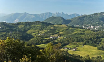 Il progetto del Parco Curone finanziato dal Programma Interreg Italia Svizzera