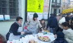 Festa animali grande partecipazione ma una brutta sorpresa FOTO