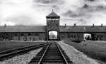 Viaggio ad Auschwitz Birkenau con il Consorzio Villa Greppi