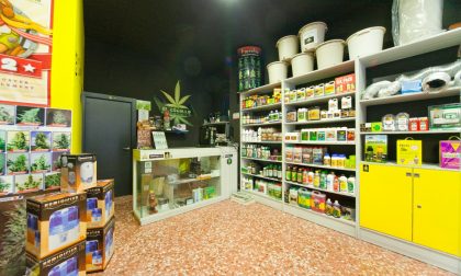 Negozi cannabis boom in Lombardia: a Lecco due growshop