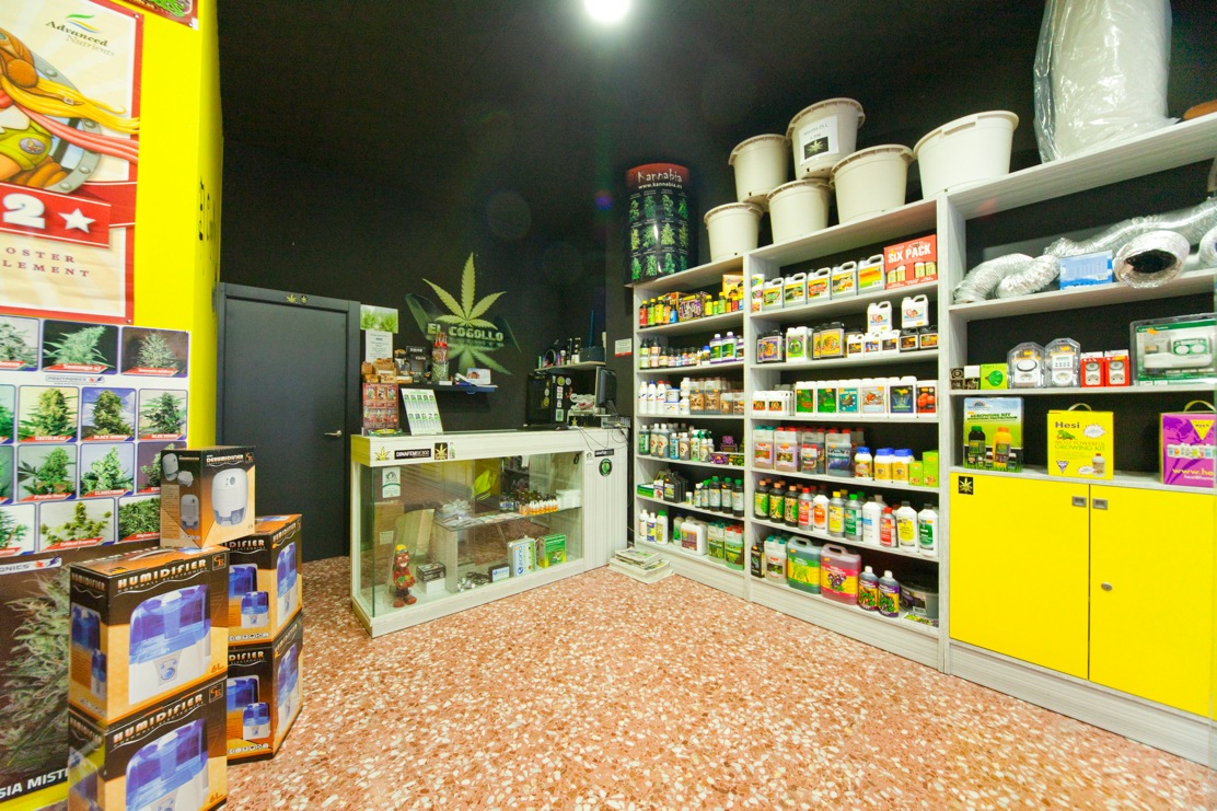 Ollo store. Гроушопы Москвы. Гроу магазины. Grow grow Batumi магазин. Гроушоп Грузия.