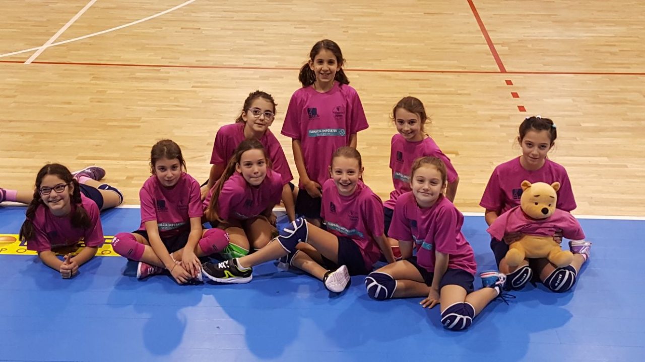 Sette vittorie per le giovanile della Polisportiva Olginate. FOTO SQUADRE