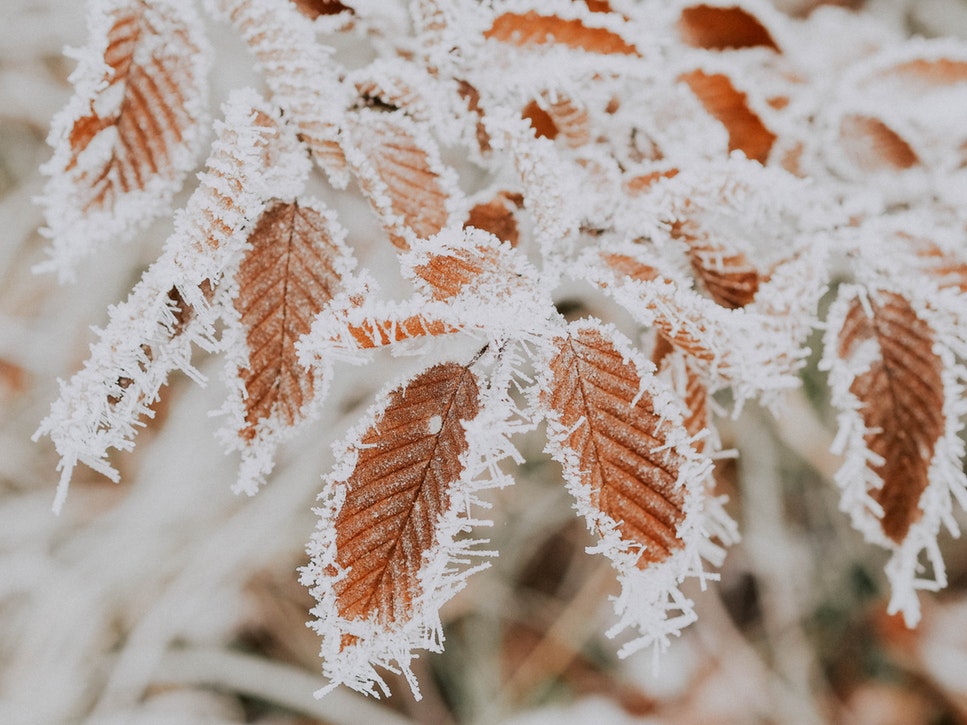 Meteo weekend in arrivo fronte di freddo