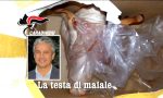 Testa di maiale a un consigliere, grave intimidazione a Bellusco