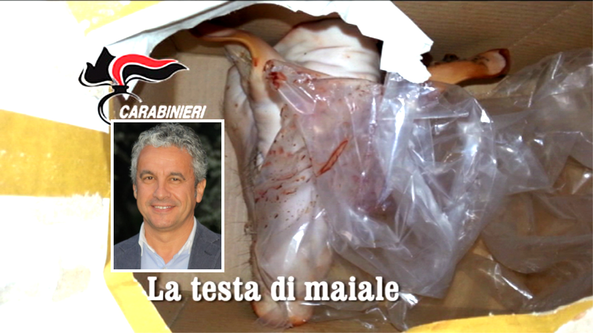 Testa di maiale a un consigliere, grave intimidazione a Bellusco