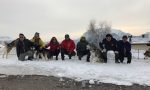 Neve, sole e amici a 4 zampe: nel weekend torna l'Alaskan Malamute sleddog day