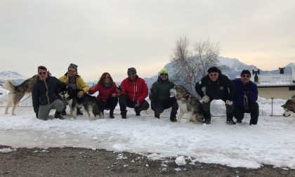 Neve, sole e amici a 4 zampe: nel weekend torna l'Alaskan Malamute sleddog day