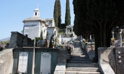 Cipressi pericolanti al cimitero di Bellano: non sarà necessario abbatterli