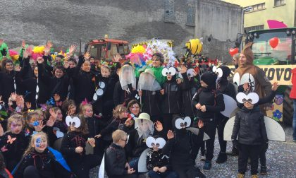 Carnevale Casatenovo gli insetti hanno invaso le strade del paese FOTO